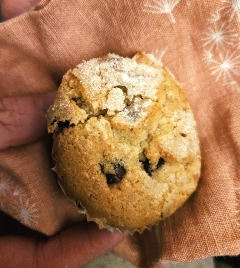 Gluten Free Chocolate Chip Muffins